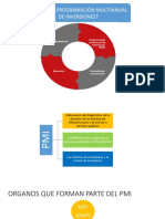 ¿Qué Es La Programacion Multiianual de Inversiones?