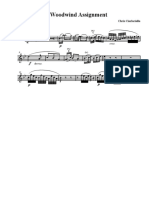 WW Assignment Flute 2 PDF