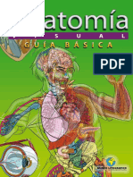 Anatomia Guia Basica