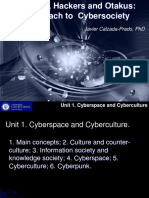 Javier Calzada-Prado, PHD: Unit 1. Cyberspace and Cyberculture