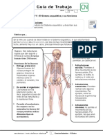 4basico - Guia Trabajo Ciencias - Semana 21