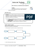 4basico - Guia Trabajo Ciencias - Semana 26