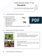 Ficha Informativa - Pecuaria
