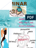 260546768-minor-ailments-during-pregnancy.ppt