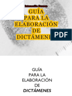 GUIA PARA ELABORACIÓN DE DICTAMENES (2).pdf