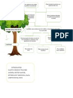 Arbol Del Problema Shampoo Extractos de Sábila 2