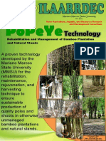 Rehabilitation and Management of Bamboo Plantation and Natural Stands