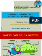 2-eg-u-ivmorfologia-dlos-insectos-y-sus-sistemasfguevara16op-170823012802