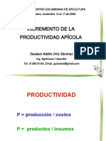 Productividad Nacional Presentacion 2008.pps