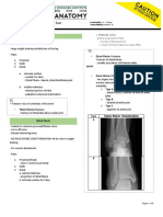 Lower Limb 4: Ankle and Foot: C. Malleolar Sulcus