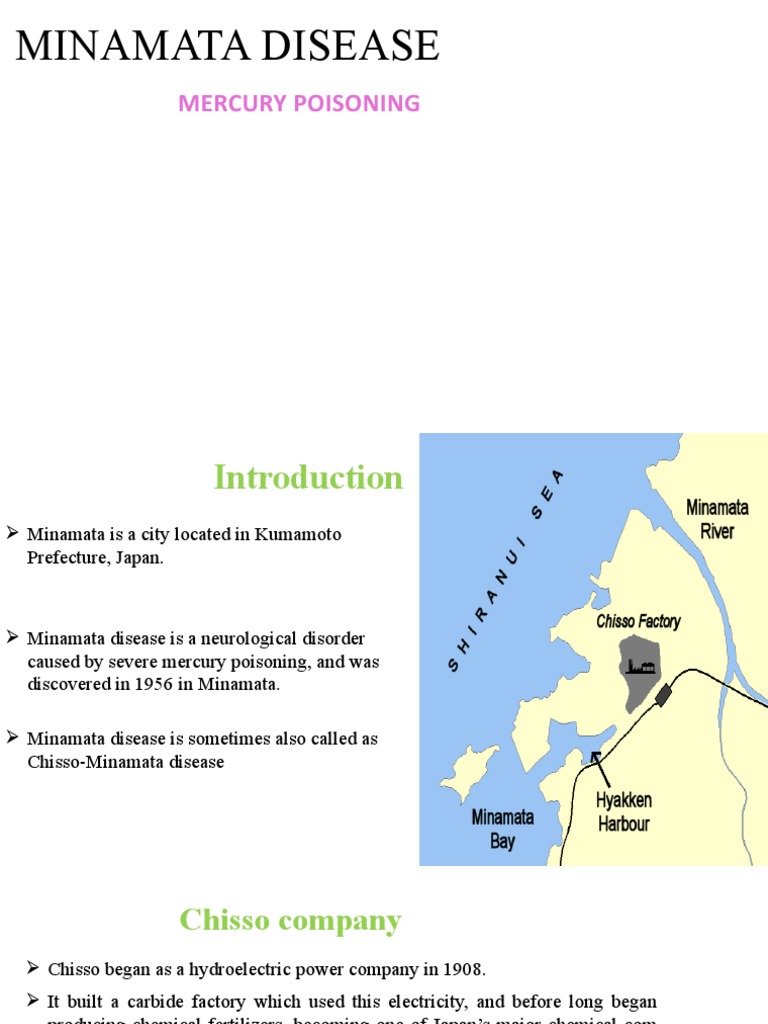 Minamata Disease Mercury Poisoning PDF Mercury (Element
