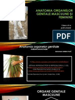 Anatomia Organelor Genitale Masculine Si Feminine PDF