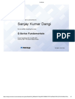 E Series Fundamental PDF