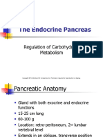 Pancreas