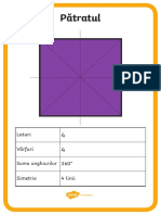 Planse Axa de Simetrie PDF