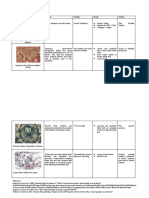 Lissamine, Schmorl, Ground, Sudan Method