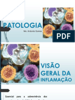 INFLAMAÇÕES AGUDAS E CRÔNICAS - Atualizado