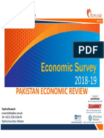 Pakistan Economic Review FY19