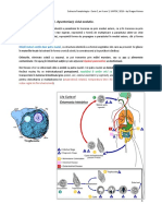 Subiecte Parazitologie PDF