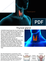 Thyroid Gland