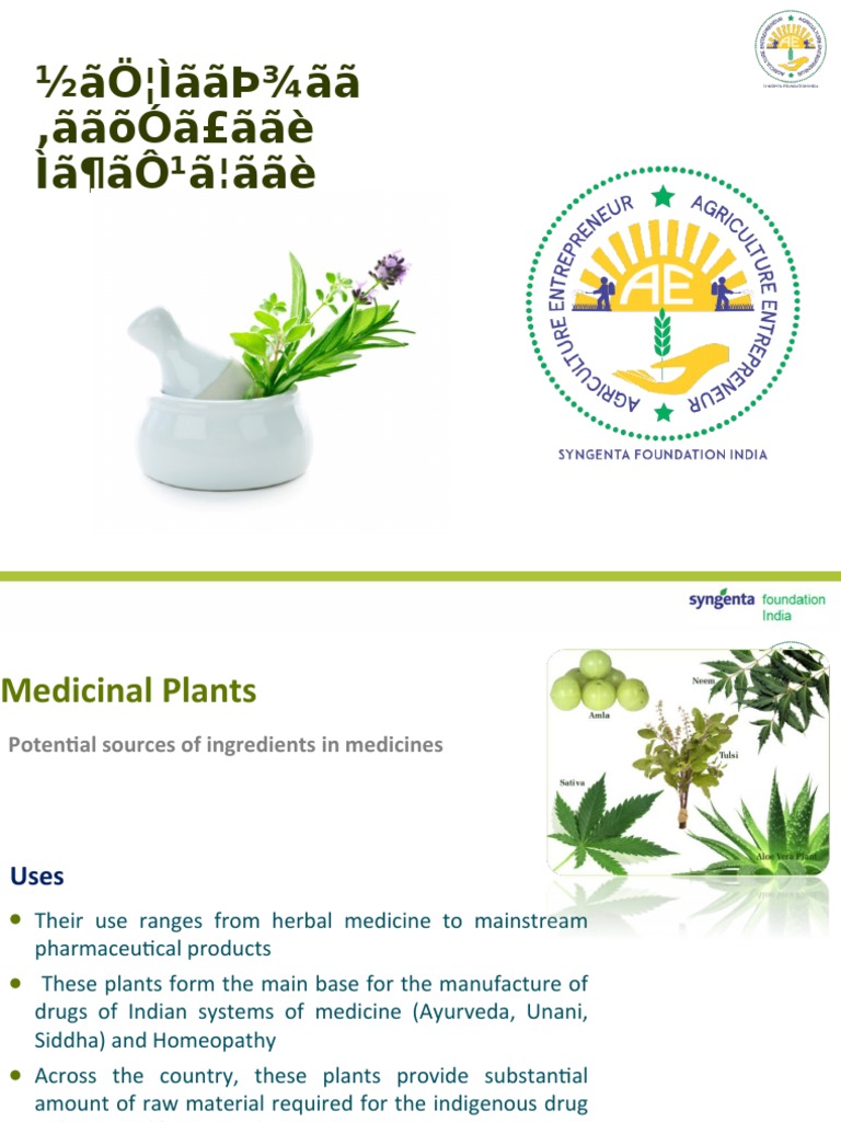 Marathi Medicinal Plants PDF Pharmacology Health Sciences