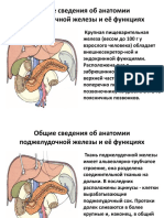pancreas CA