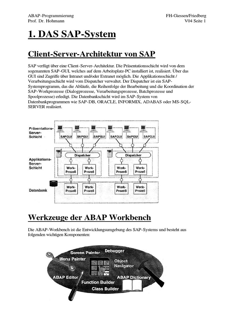ABAP Referenz | PDF