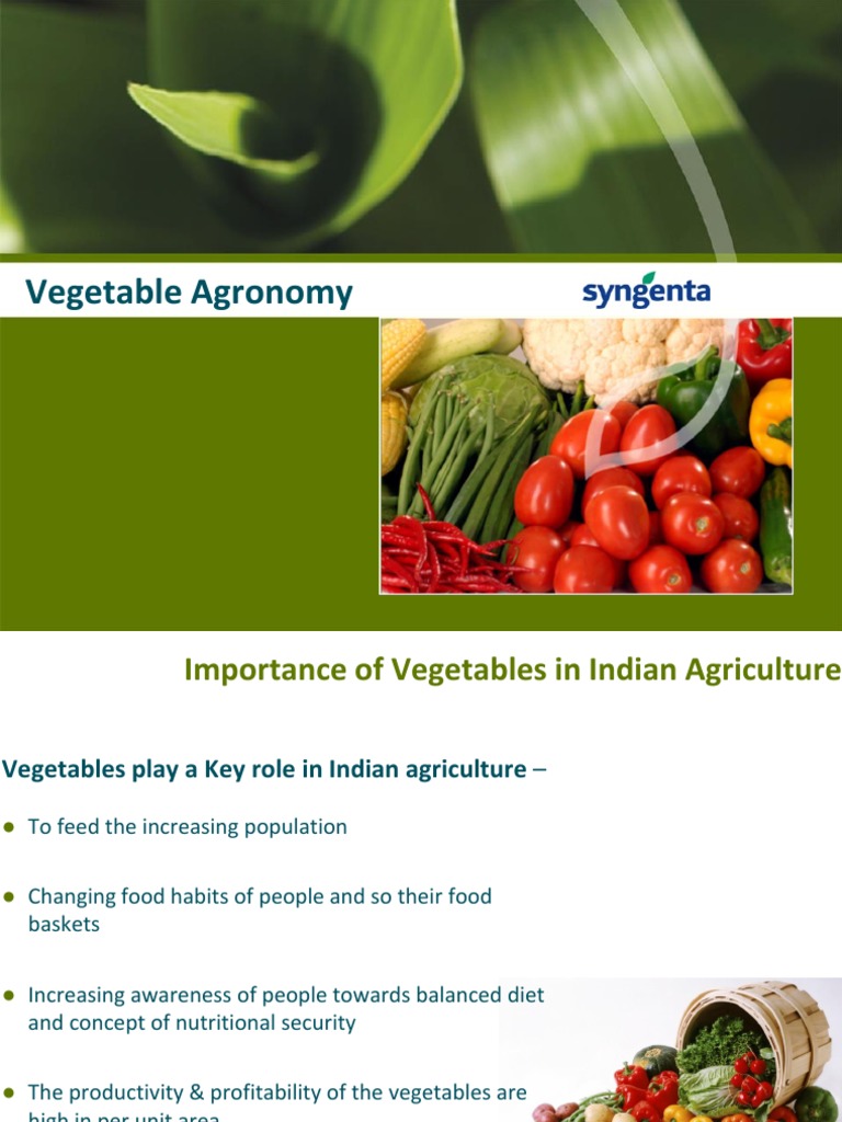 Vegetable Crops Nursery Management PDF PDF Plant Nursery Vegetables