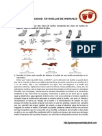 HUELLAS DE ANIMALES.pdf