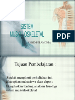 2. Sistem muskuloskeletal.pptx