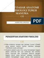 1. KONSEP DASAR ANATOMI DAN FISIOLOGI TUBUH MANUSIA.pptx