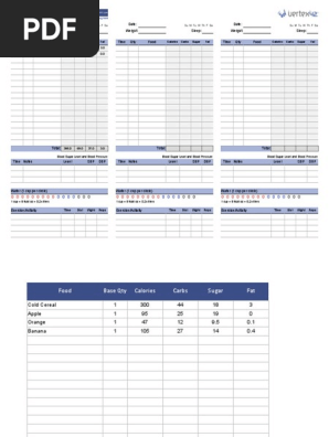 daily-food-log
