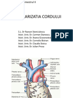 Vascularizatia Cordului PDF