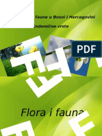 Flora-I-Fauna Endemi