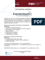 06 Oportunidad Laboral Conectsen PDF