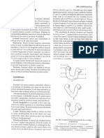 Anatomia duodenului.pdf