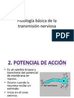Fisiología Básica de La Transmisión Nerviosa