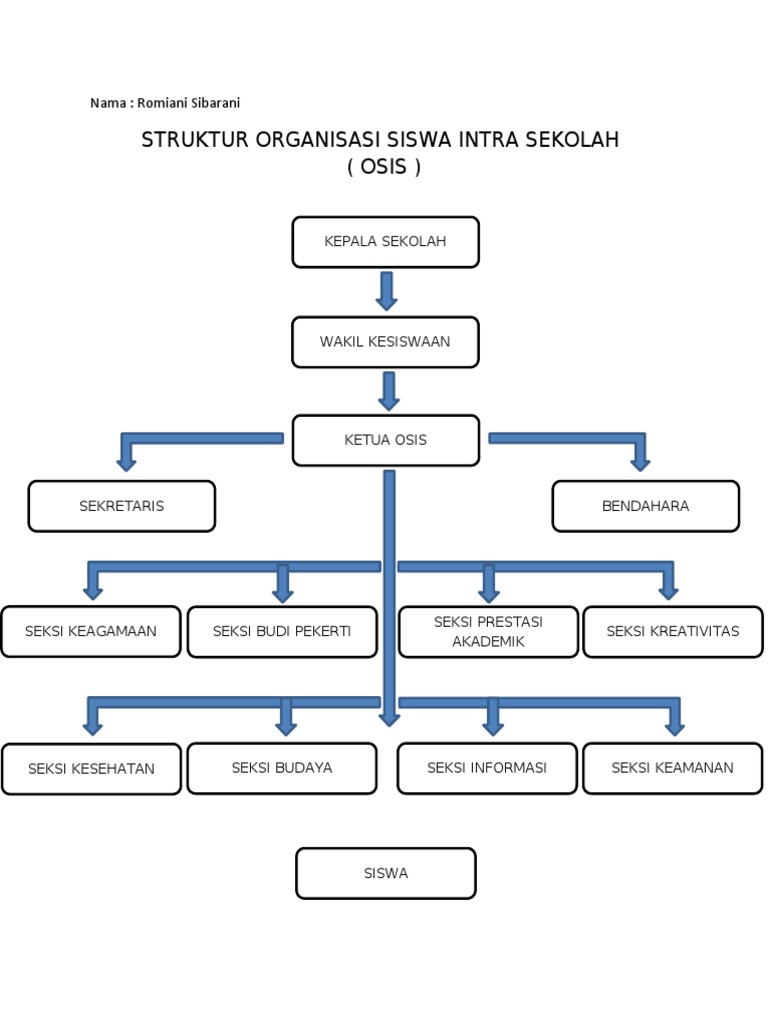 Seksi osis