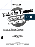 Vassily Brandt - Orchestra Etudes