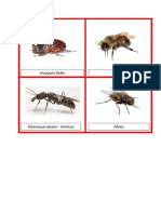 ОБРАЂЕНО - инсекти