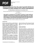 Download Ethanol Production From the Water Hyacinth Eichhornia Crassipes by Yeast Isolated From Various Hydro Spheres by merinafitria SN45966635 doc pdf