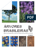 Árvores Brasileiras - Manual De Identificação E Cultivo De Plantas Arbóreas Nativas Do Brasil - Vol. 1