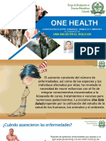 One Health Ponencia Biomedicina Carlomagno Zamora Esclante