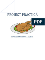proiect practica.docx