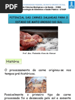 PotencialCarnesSalgadas FlodoaldoAlencar PDF
