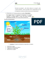 Naturales Nutricion Abril 7 A3 Semana