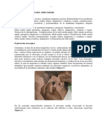 cap._3_libro_2.pdf