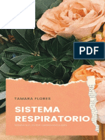 SISTEMA RESPIRATORIO