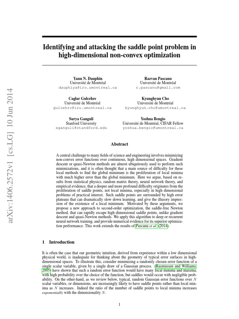 Saddle Point Challenges in Optimization | PDF