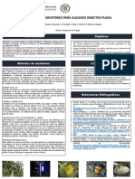 Poster I II Tarea 2 Métodos Monitoreo Plagas y Enemigos Naturales MIP GC 300028 21